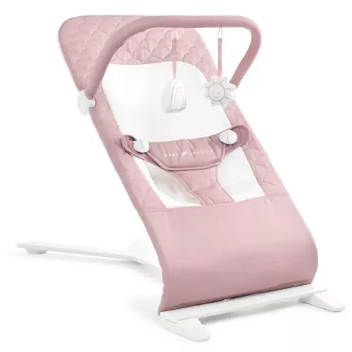 baby-delight-alpine-deluxe-portable-bouncer-organic-rose-see-description-rebel Baby Delight Alpine Deluxe Portable Bouncer - Organic Rose (See description) – REBEL
