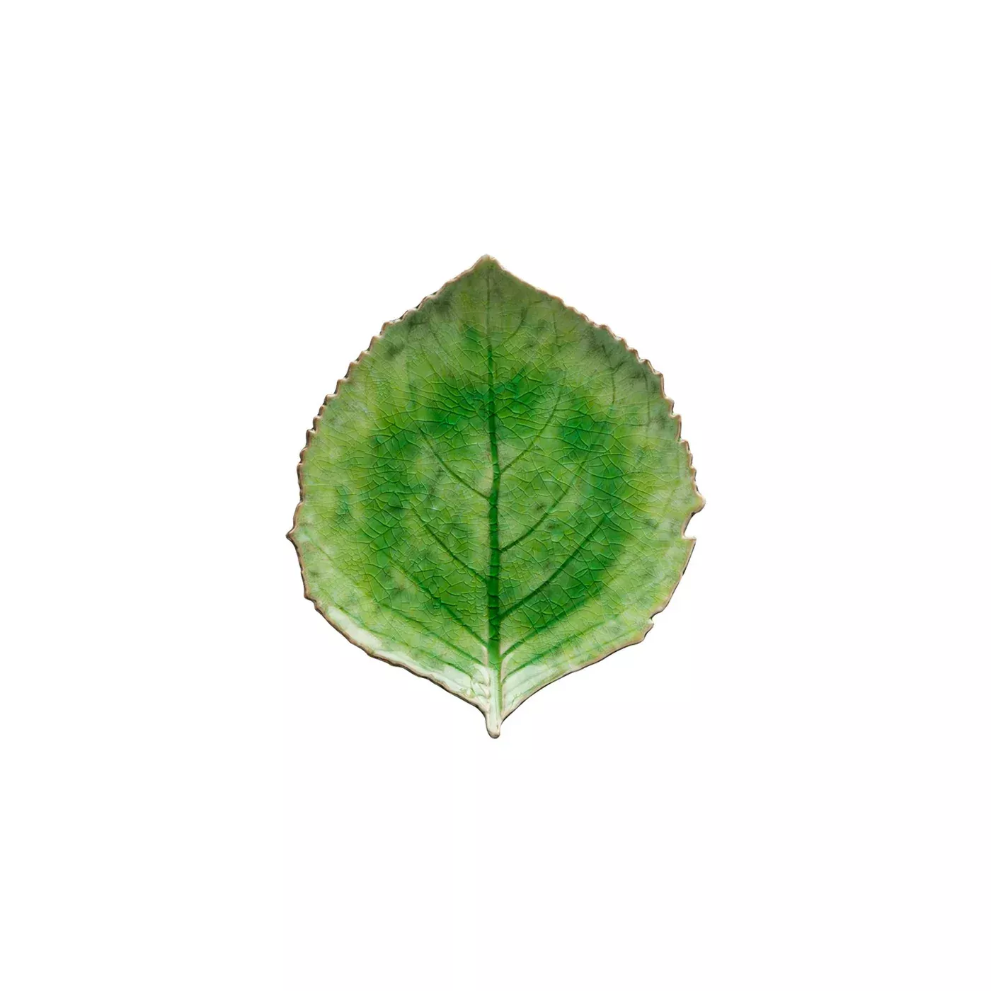casafina-hydrangea-leaf-riviera-tomate-green Casafina Hydrangea Leaf Riviera, Tomate Green