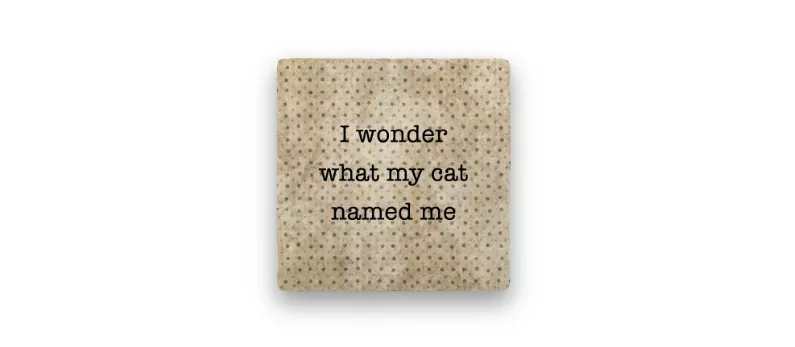 coaster-cat-named-me Coaster, Cat Named Me