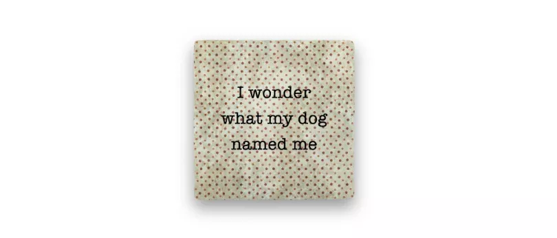 coaster-dog-named-me Coaster, Dog Named Me