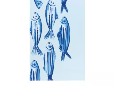 danica-brands-tea-towel-print-terry-aveiro Danica Brands Tea Towel - Print Terry Aveiro