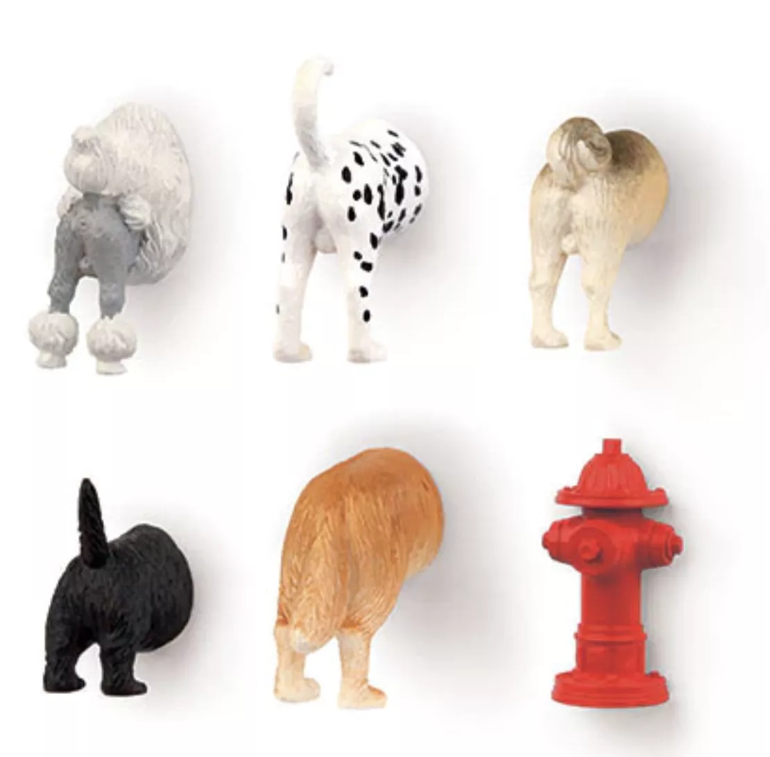 dog-butt-magnets-set-6 Dog Butt Magnets Set/6