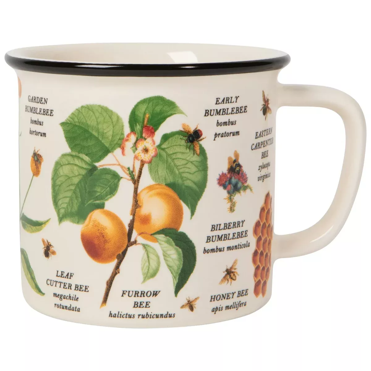 now-designs-heritage-mug-12-oz-bee-varieties Now Designs Heritage Mug 12 oz – Bee Varieties