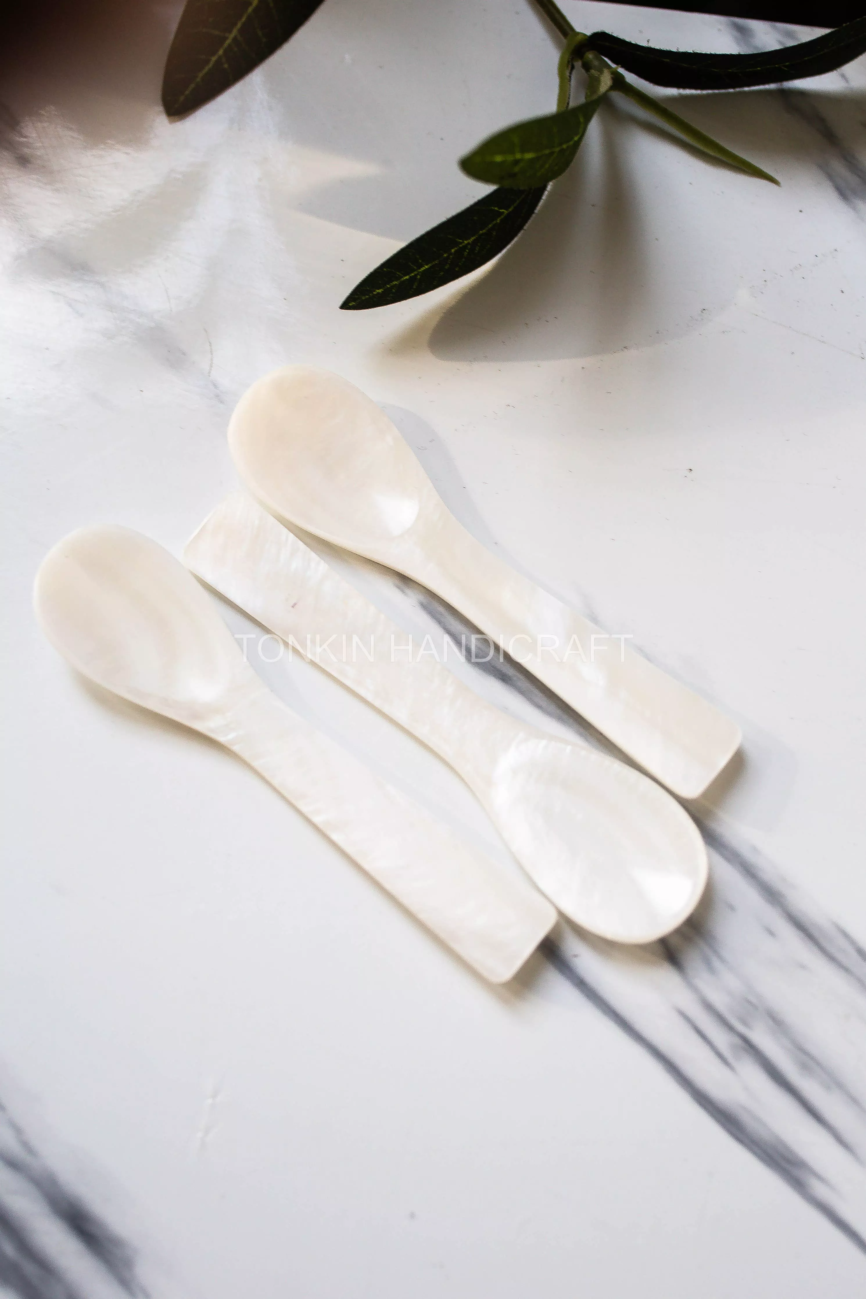 seashell-spoon-2-75 Seashell Spoon, 2.75”
