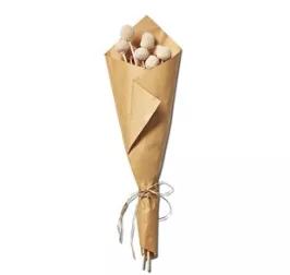 tag-craspedia-bunch-white Tag Craspedia Bunch - White
